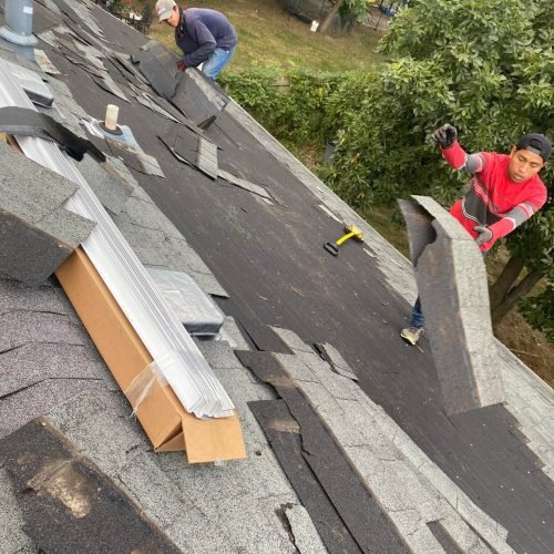 307485240_8446412902050666_7262389955002502149_n