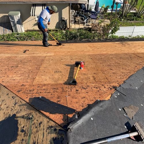 312434055_1380292932510239_6099277447663552309_n