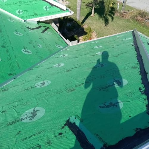 312560087_495749425802563_5576020828542721134_n